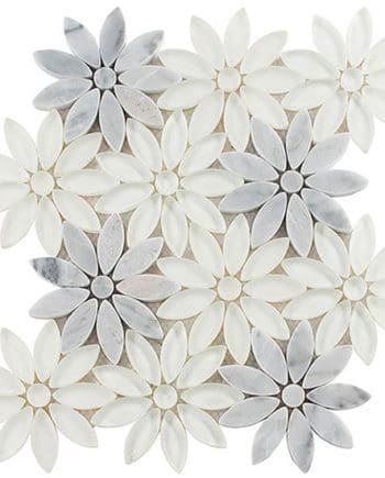Glazzio Bouquette Daisy Field BQT675