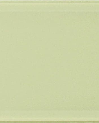 Florida Cape Coral GLMCF19