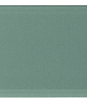 Florida Orlando GLMCF17