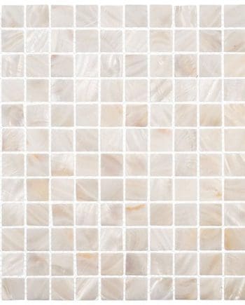 Shell White Shell Nominal 1x1 Mother of Pearl