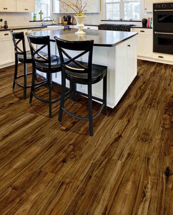 Northern Retreat Acacia