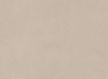 B-Natural Ash 20x48 Wall Happy Floors