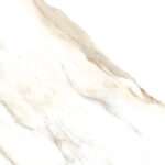 Dorian 12x24 8925 Happy Floors