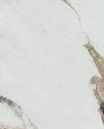 Kobe calacatta viola 12x24 Happy Floors
