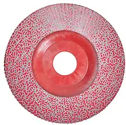 Raimondi GPFD120 Grinding Disc