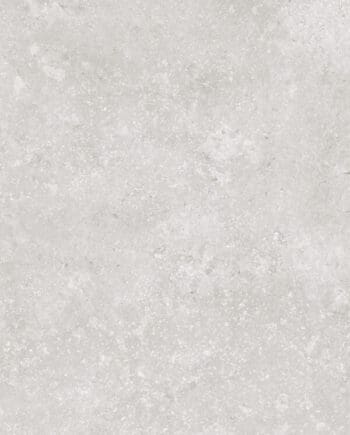 Timeless Grey 24x48 10382 Happy Floors