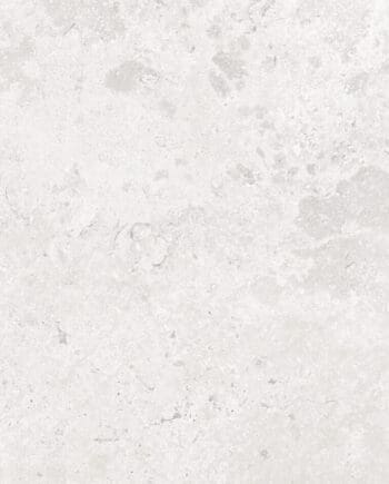 Timeless White 12x24 10360 Happy Floors