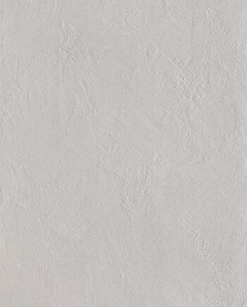 Happy Floors Soft Light Grey 12x24 10715