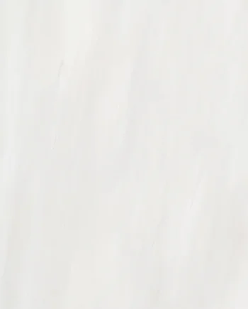 Happy floors dolomite white 24x48 6031 6032