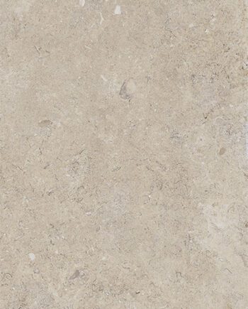 Happy Floors Carolina Beige 12x24 10540