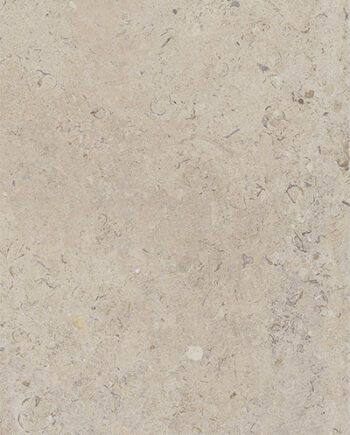 Happy Floors Carolina Beige 24x48 10542