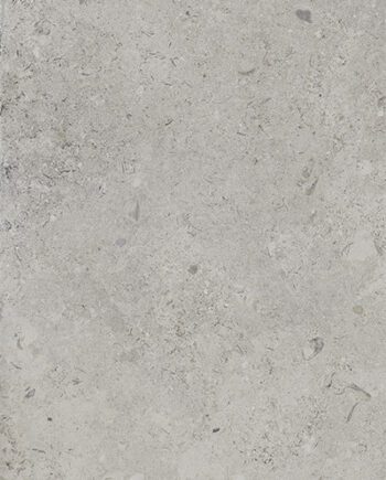 Happy Floors Carolina Perla 24x48 10532