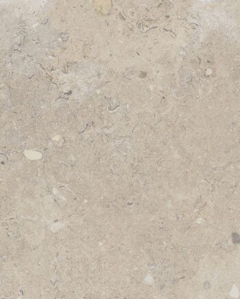 Happy Floors Coralina Beige 24x24 10541
