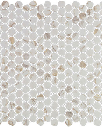 Glazzio Lavish Almondine LAV4064